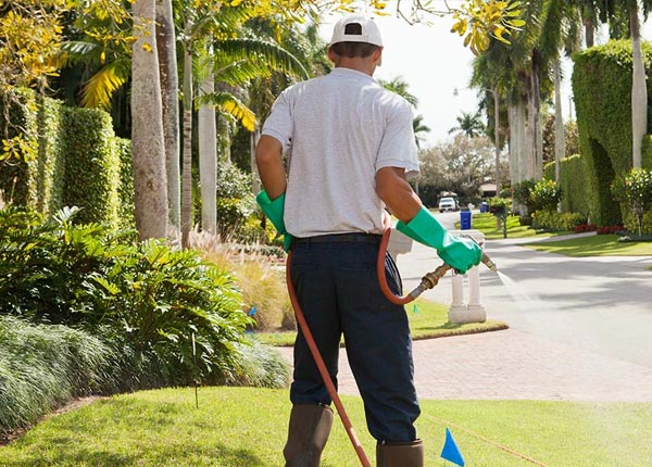 About Olathe KS Pest Control